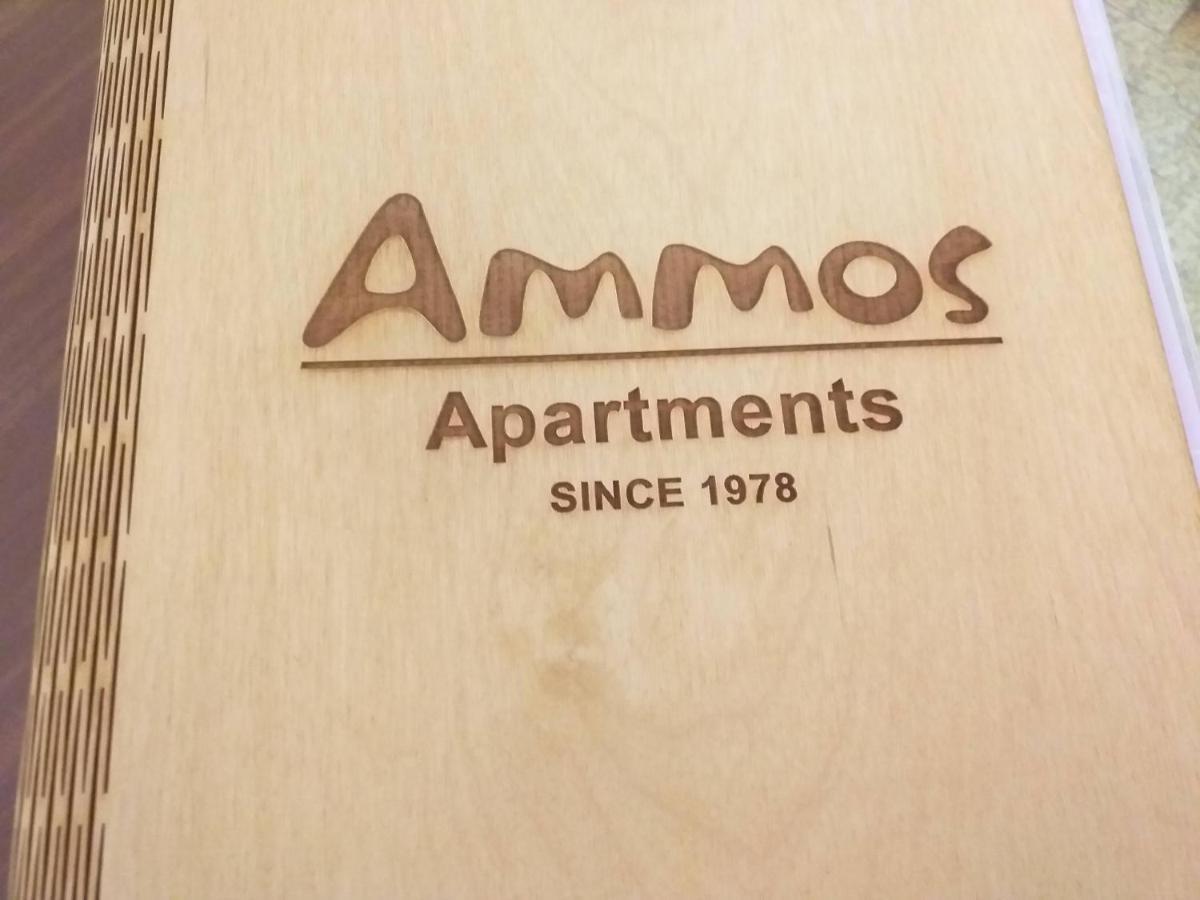 Ammos Apartments Ágios Nikólaos 외부 사진
